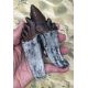 Basilosaurus,  early whale tooth molar