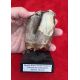 Fine Authentic Woolly Rhino Tooth Crown (Coelodonta antiquitatis), Siberia