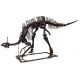 Tsintaosaurus  complete skeleton replica rental