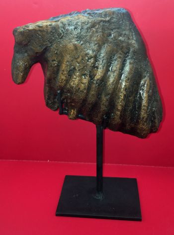 Dwarf Mammoth Tooth, Mammuthus exilis,on stand