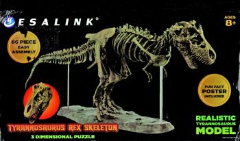 3D Tyrannosaurus rex Skeleton Kit With 60 Pieces