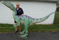 Coelophysis, larger than life model in the flesh RENTAL ONLY