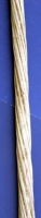 Monodon monoceros, narwhal tusk