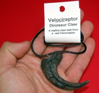 Velociraptor slashing & killing claw, pendant necklace