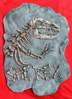 She Rex Door or Wall Sign