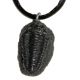 Phacops, trilobite pendant, necklace