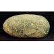 Dinosaur Egg, theropod