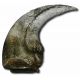 Baryonyx walkeri, Dinosaur Claw