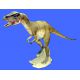 Allosaurus life-size juvenile model 10.5 feet long