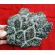 Ankylosaurus, large osteoderm plate