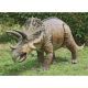 Triceratops Statue Model 14 Foot Life-Size, Life-Like RENTAL