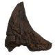 Triceratops Nose Horn