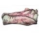 Spinosaurus Skull, Life-Size Wall Relief Sculpture