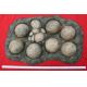 Saltasaurus Sauropod Dinosaur 9 Egg Nest