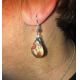 Authentic Dinosaur Coprolite Earrings