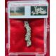 Fulgurite (lightning fused Sand) Algeria in an Acrylic Display Case