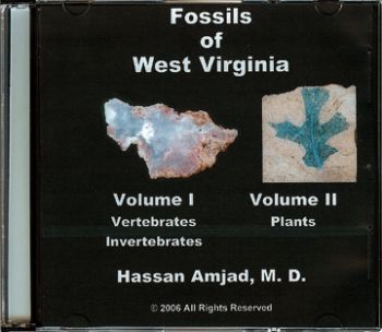 Fossils of West Virginia on CD 2 Volume Set, color version