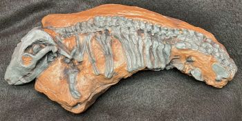 Thrinaxodon, cynodont (therapsid)