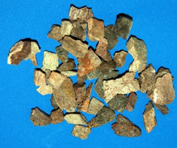 Chunkosaurus Cretaceous Dinosaur Bone (Authentic) Fragments, 1 LB. pkg.