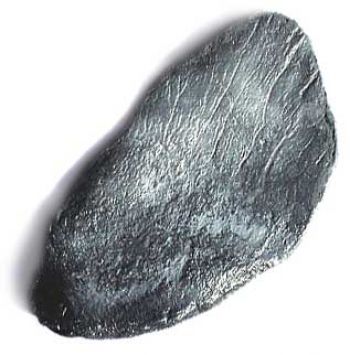 Stegosaurus Dorsal Plate