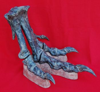 Allosaurus foot with base