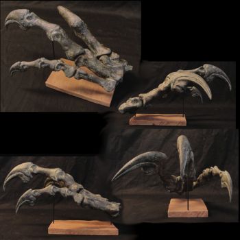 Allosaurus, complete hand with base