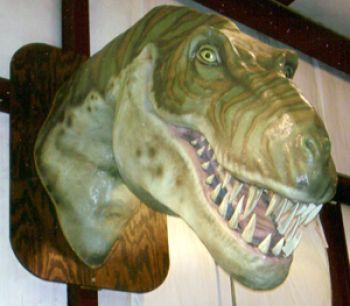 Tyrannosaurus, life size head