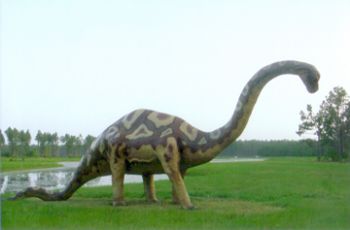 Apatosaurus, life size model