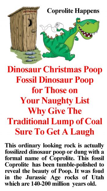 Poop for Christmas, 1 Piece of Dinosaur Coprolite