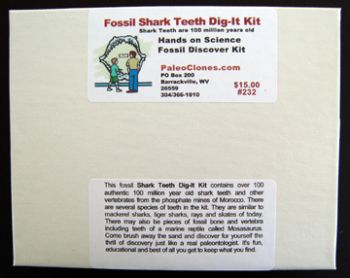 Fossil Shark Teeth Dig It Kit