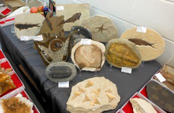 2021 Charleston, West Virginia  Gem, Mineral & Fossil Show, October 19-20, 2019