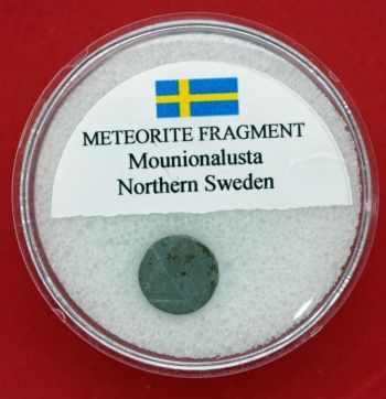 Polished Muonionalusta Meteorite in Gem Jar Showing Widmanstatten Pattern