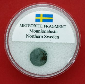 Polished Muonionalusta Meteorite in Gem Jar Showing Widmanstatten Pattern