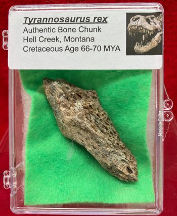 Authentic Tyrannosaurus rex Bone in Acrylic Display Case