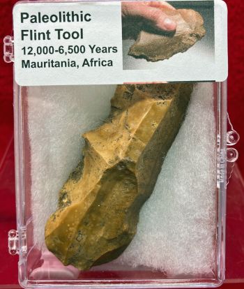 Authentic Paleolithic Flint Tool in Acrylic Display Case