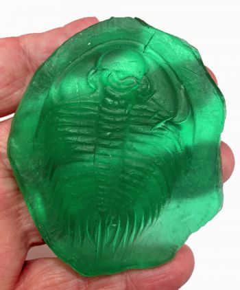 Fossil Soap Trilobite, Tea Green Scent