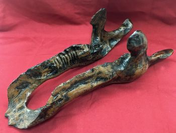 Maiasaura, Juvenile Lower Jaws