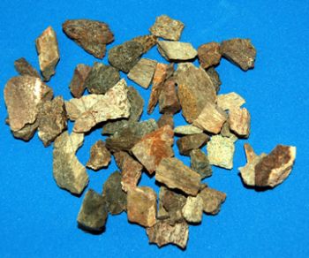 Chunkosaurus Cretaceous Dinosaur Bone Fragments, Authentic 1/4 pound, 4 oz.