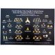 20 Fossil Shark Teeth, Fish, Reptile & Bones from Morocco Posters