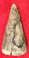 Iguanodon Dinosaur Thumb Spike