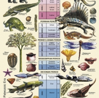 Geologic Time Chart