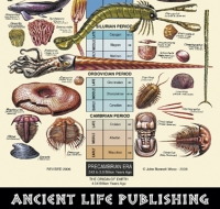 Geologic Time Chart