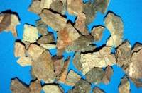 Chunkosaurus Cretaceous Dinosaur Bone (Authentic) Fragments, 1 LB. pkg.