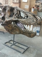 Tyrannosaurus rex, skull (Harley)