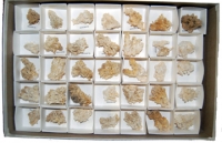 Aragonite Crystal Collection