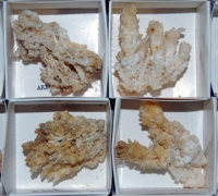 Aragonite, 35 crystals per flat