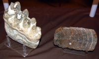 2022 Morgantown Gem, Mineral & Fossil Show, August 27-28, 2022