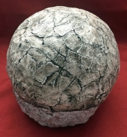 Dendroolithus (Hadrosaur Dinosaur Egg)