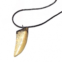 Tyrannosaurus rex Tooth Necklace Pendant