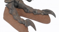 Utahraptor ostrommaysorum, foot